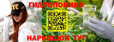 СК Кунгур